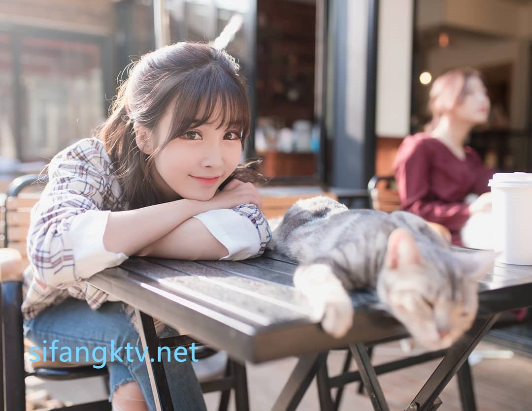 138의 사본